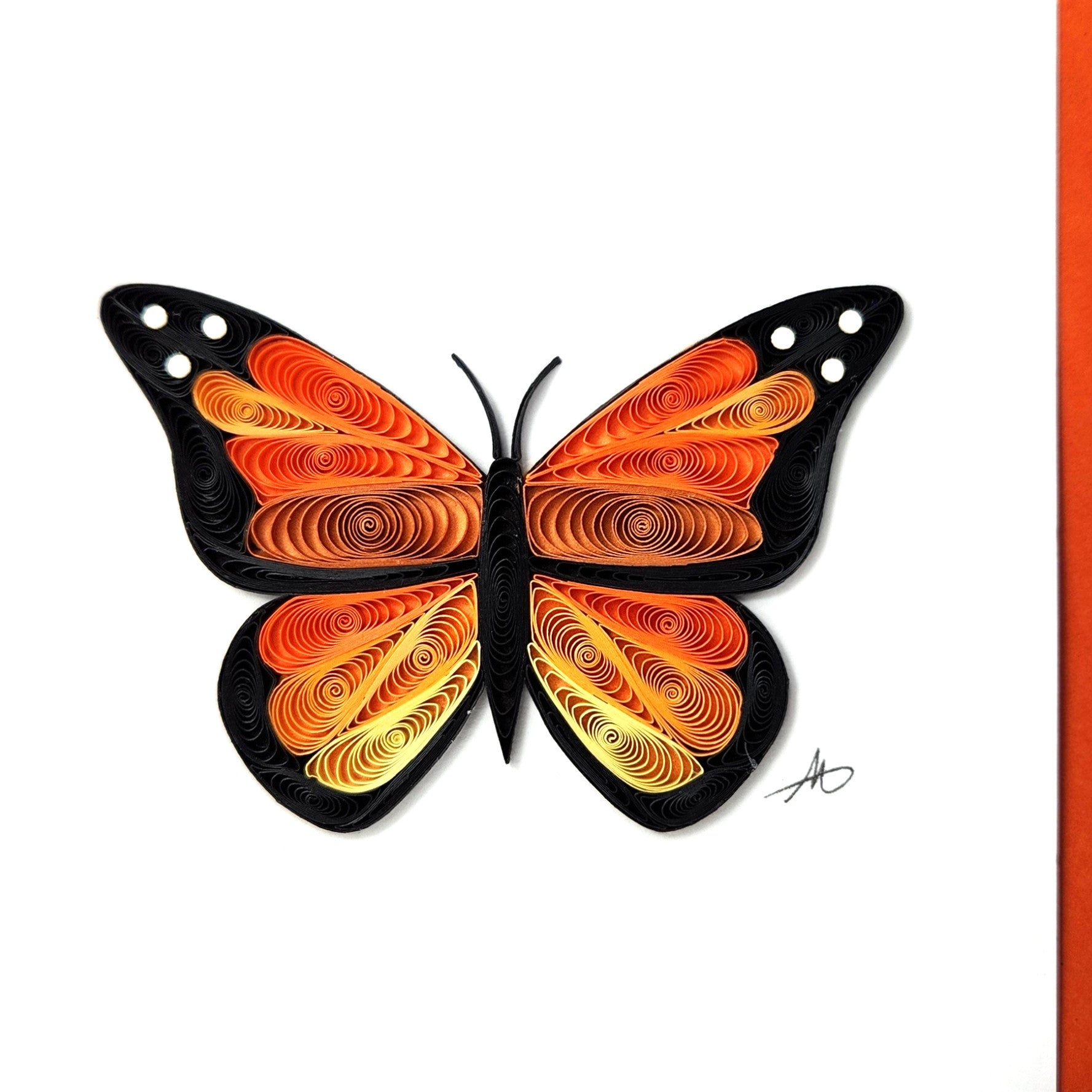 #27 - Monach Butterlfy