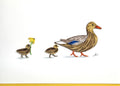 #276 - Mother Duck with Ducklings