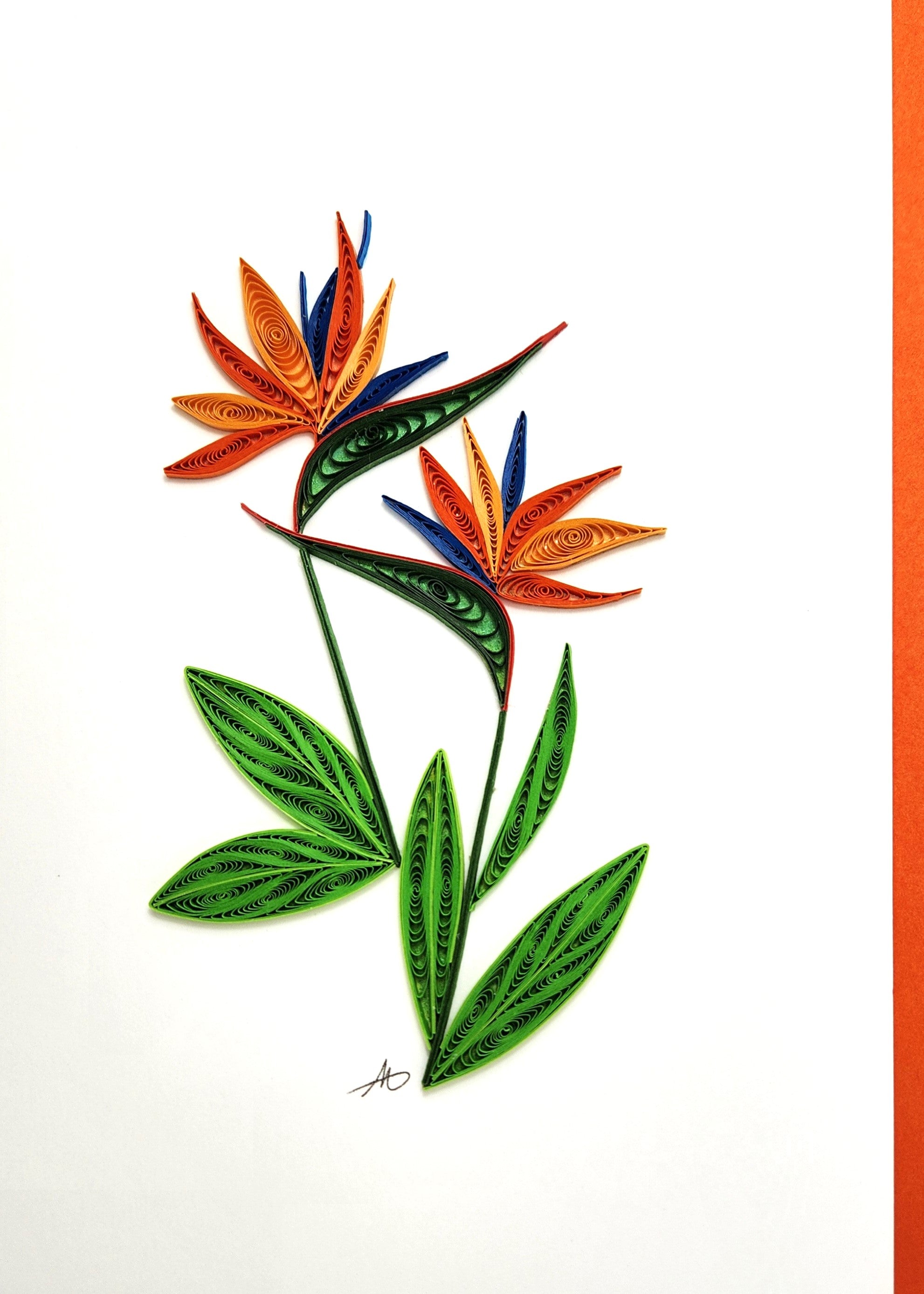 #316 - Bird of Paradise