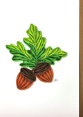 #333 A - Acorn
