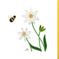 #54 - Daisy flower with bee